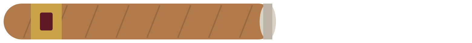 Robusto illustration